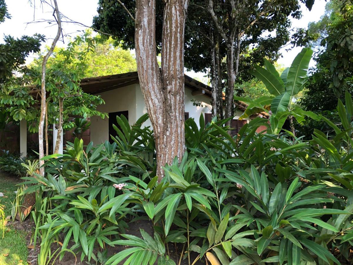 Villa Casa Aracua Trancoso Extérieur photo